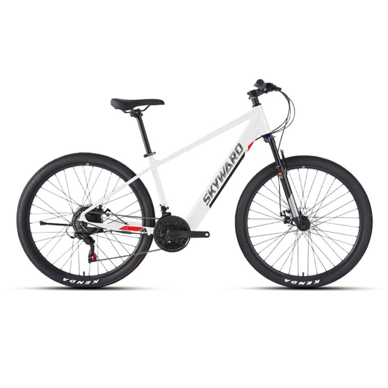 ELECTRIC MTB