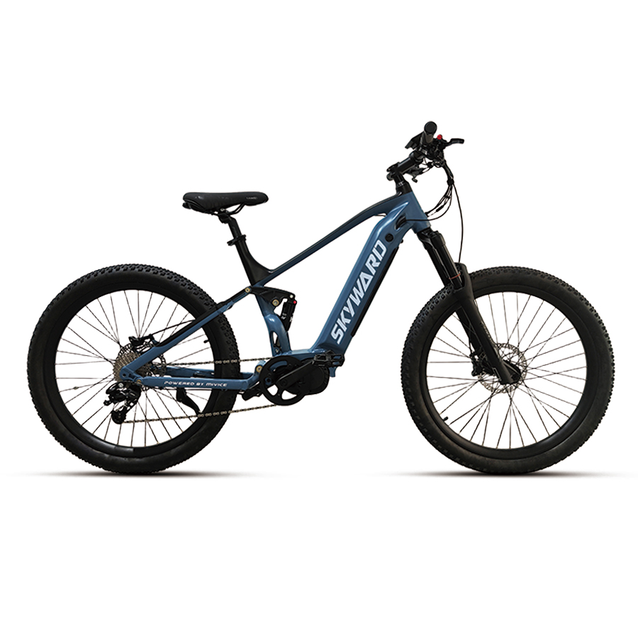 E-SUSPENSION BIKE