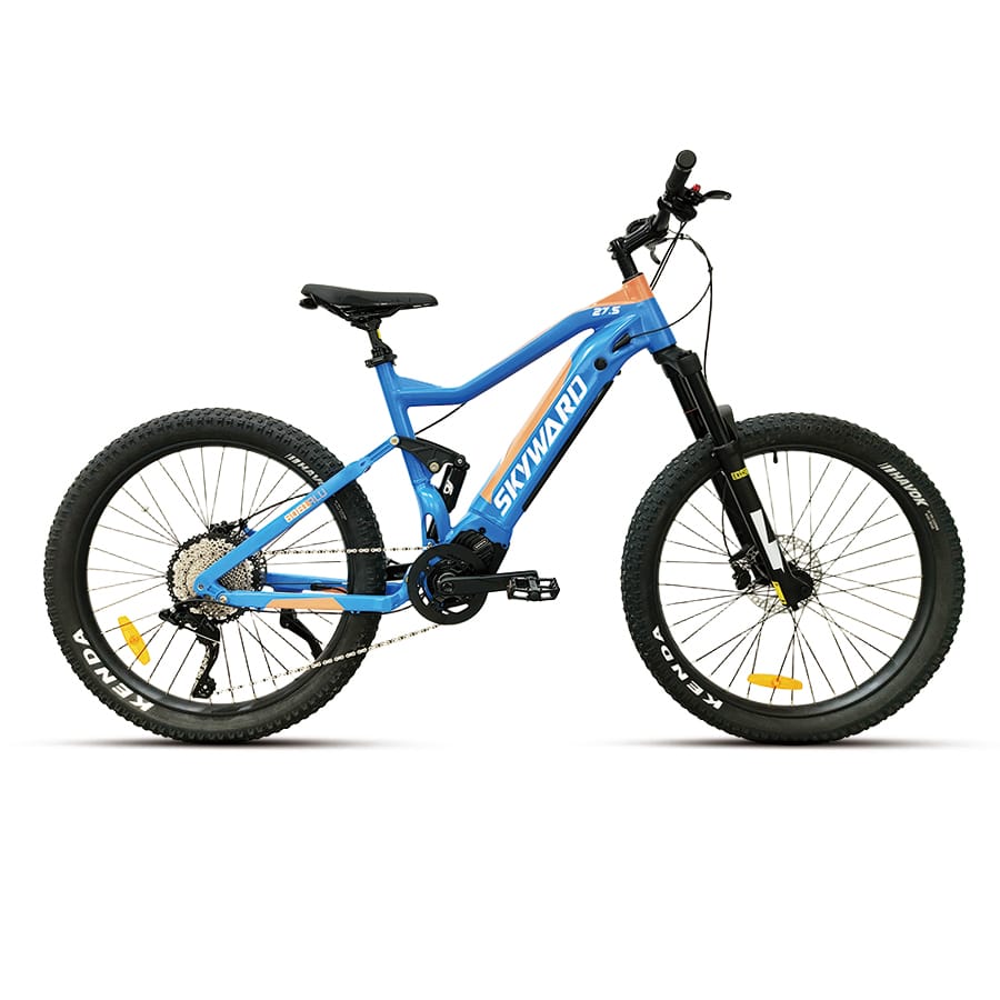 E-SUSPENSION BIKE
