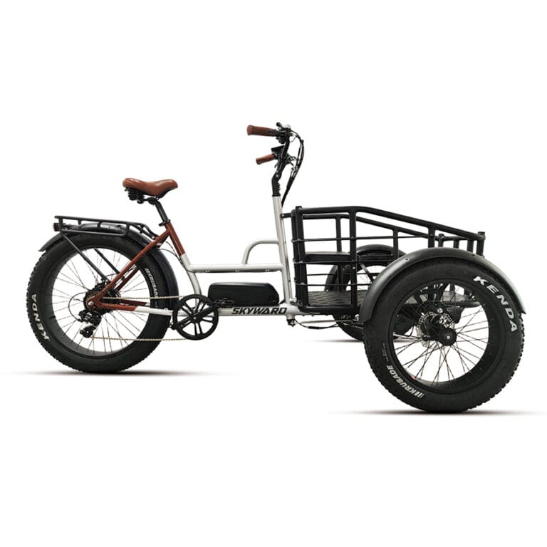 ELECTRIC CARGO BIKE