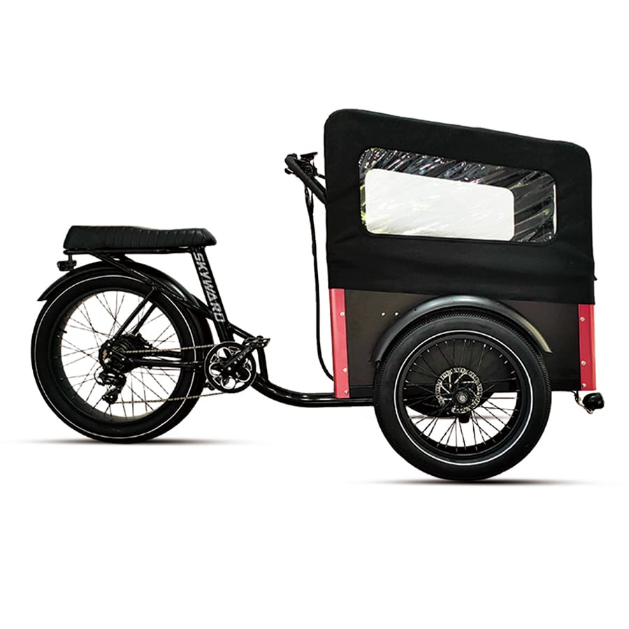 ELECTRIC CARGO BIKE