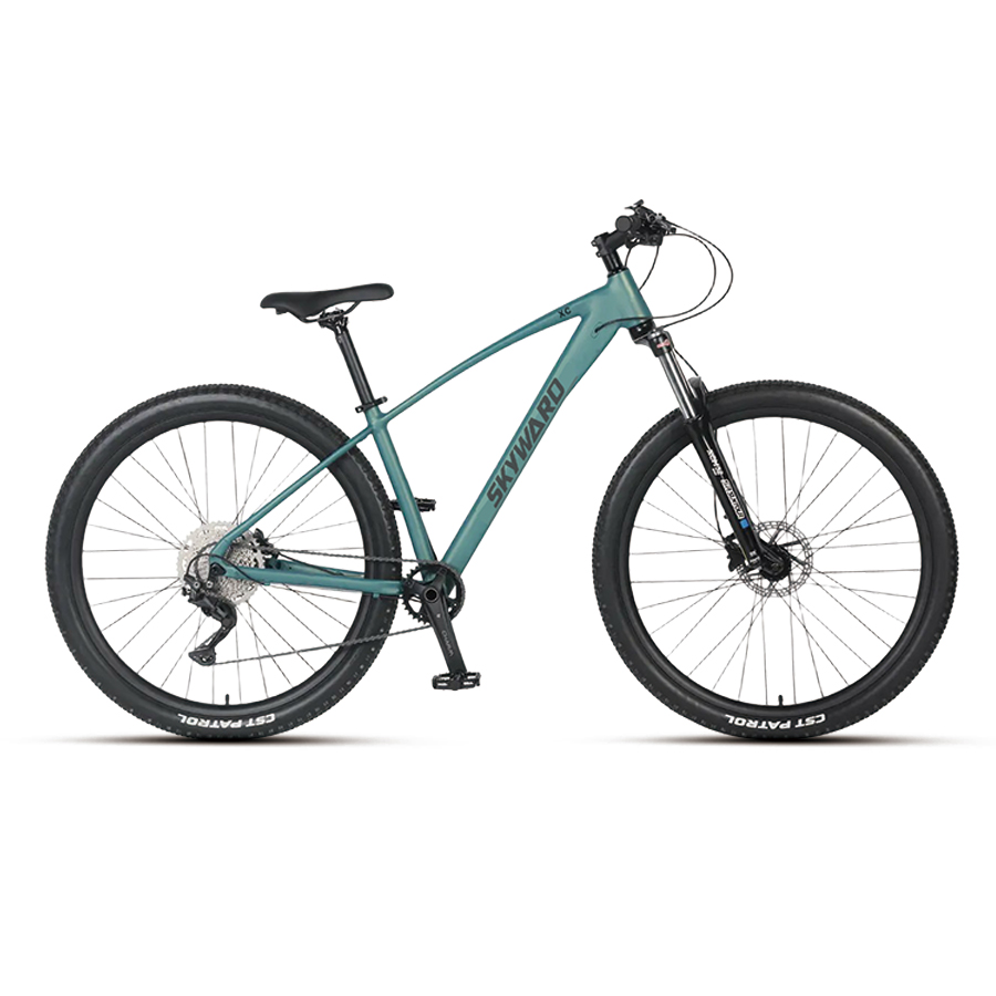 MOUNTAIN BIKE