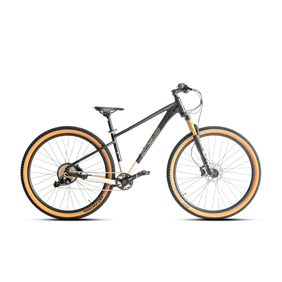mountain bike
