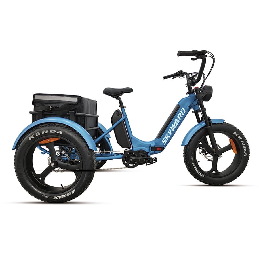 ELECTRIC CARGO BIKE
