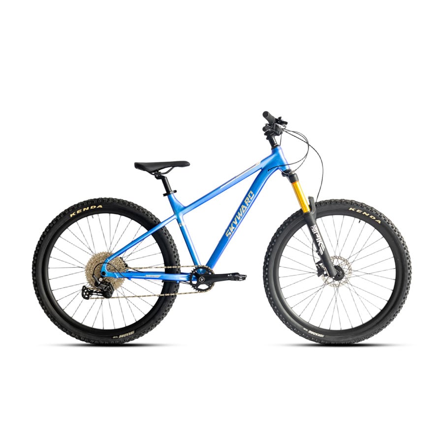 MOUNTAIN BIKE